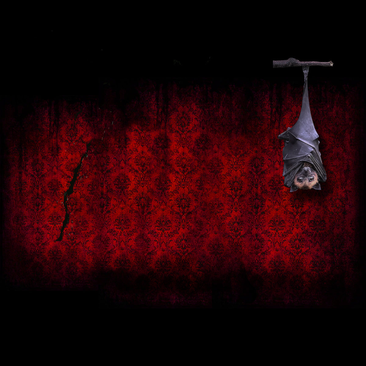Bat Decorations (2020)