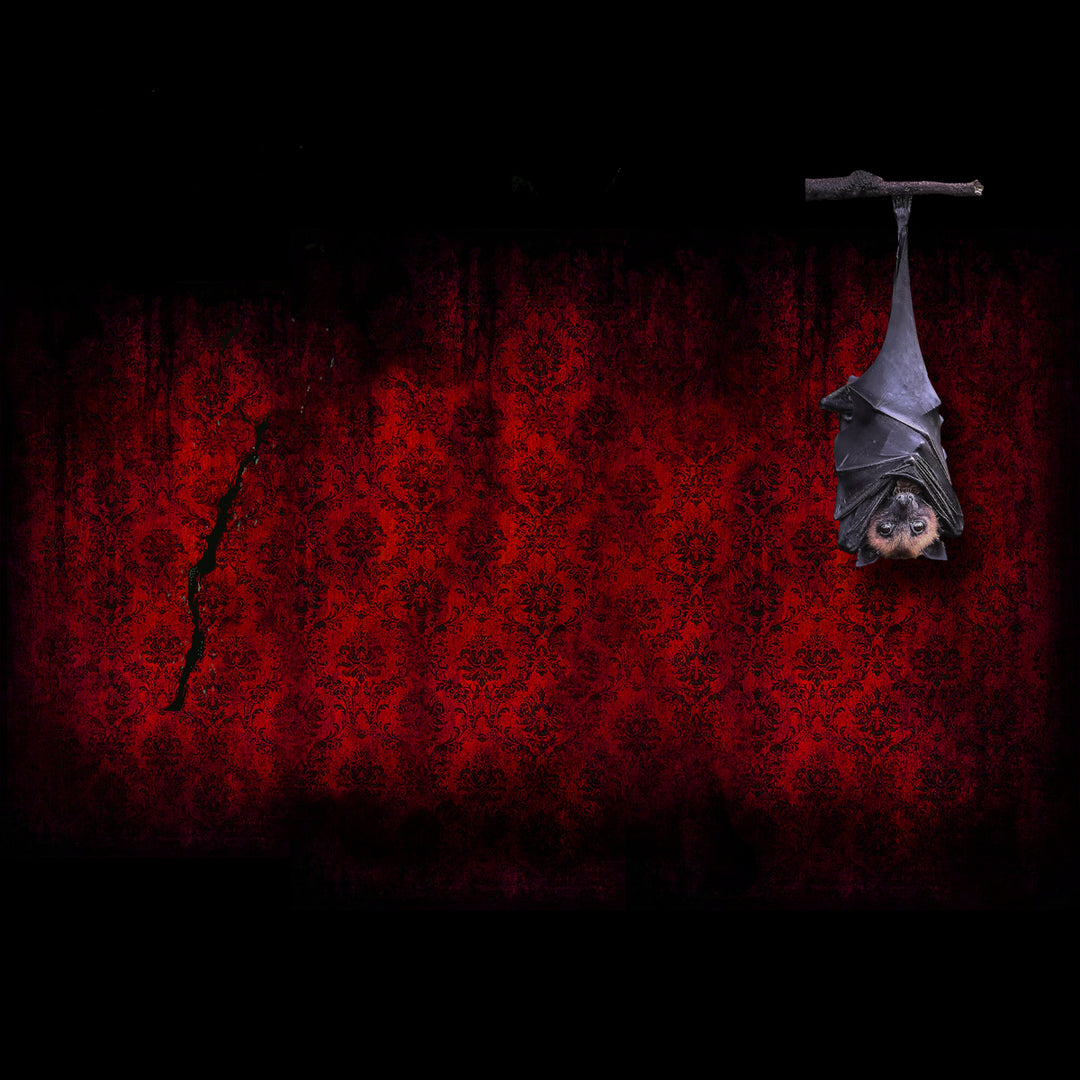 Bat Decorations (2020)