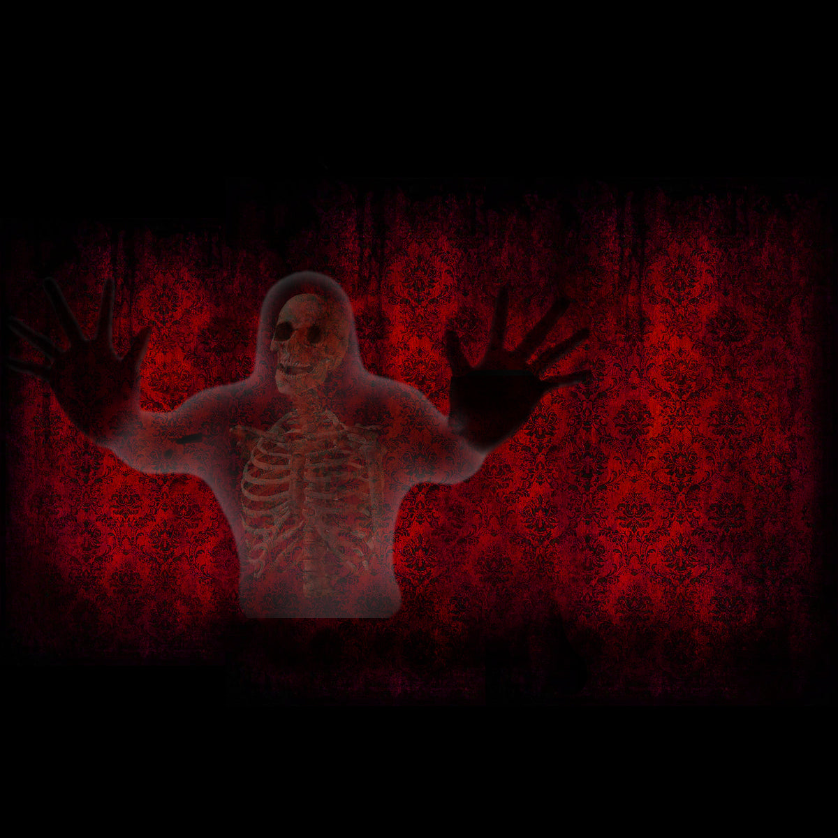 Haunted House Projections