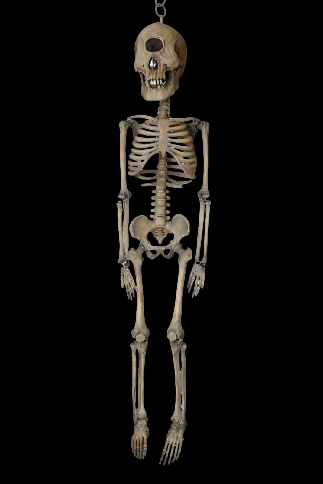 3' Cyclops Skeleton Halloween Prop