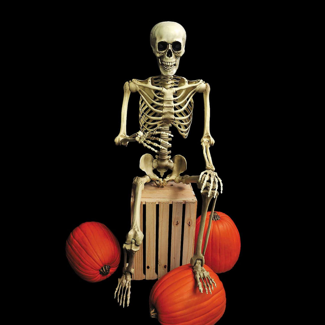 5 Ft. Realistic Posable Articulated Skeleton Halloween Decoration