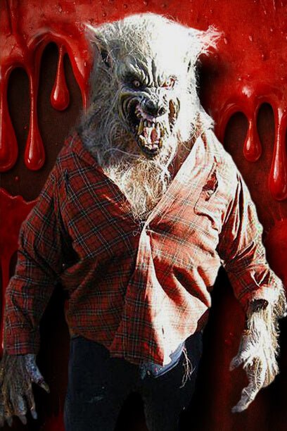 Big Bad Wolf Werewolf Halloween Costume