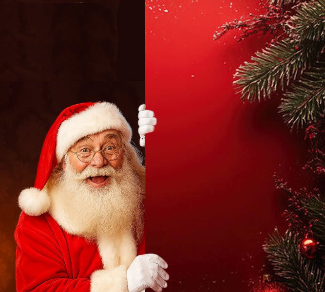 Christmas and Santa Costumes