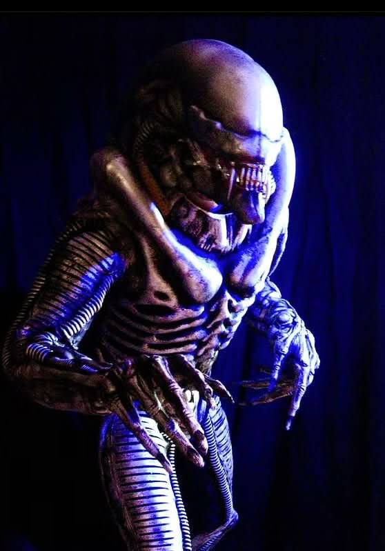 "Zenomorph" Professional Costume