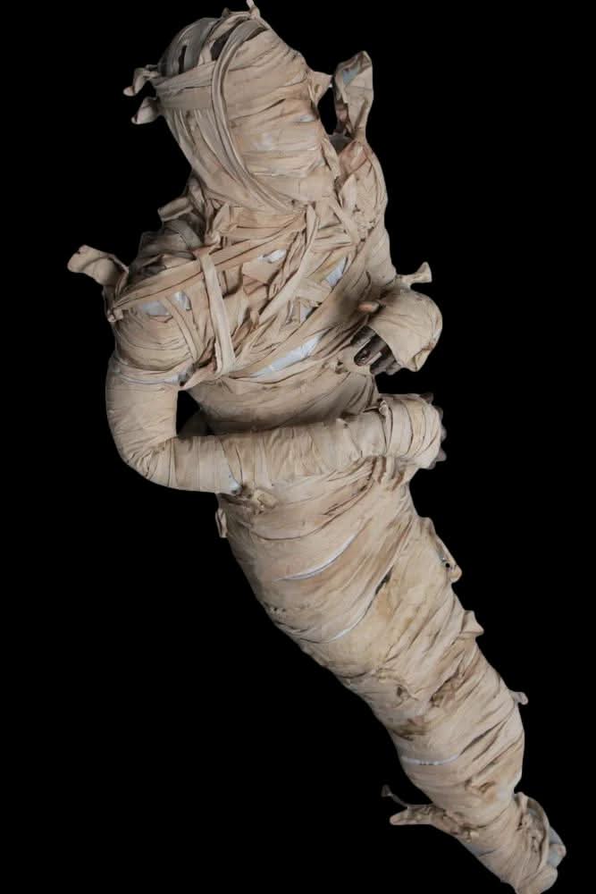 "Bandage Mummy" Professional Full Body Halloween Prop