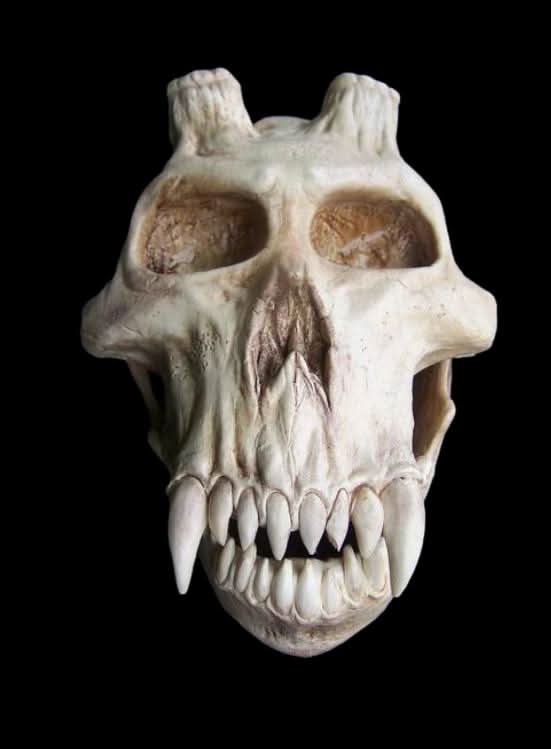 Chupacabra Skull Halloween Prop