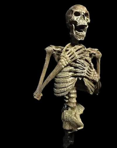 "Dead Rising" Skeleton Halloween Animatronic