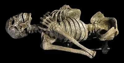 "Dead Rising" Skeleton Halloween Animatronic