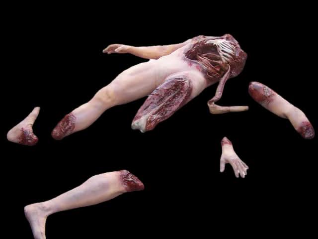 Deluxe Dismembered Body Combo Halloween Prop