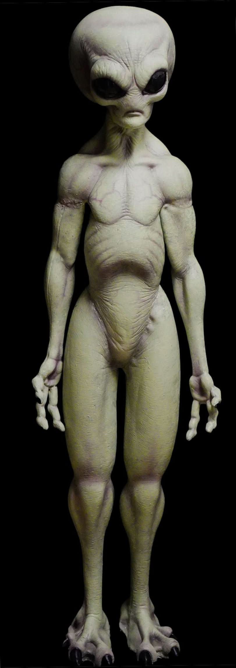 NEW for 2025 "Area 51 Alien Statue" Movie-Quality Professional Prop
