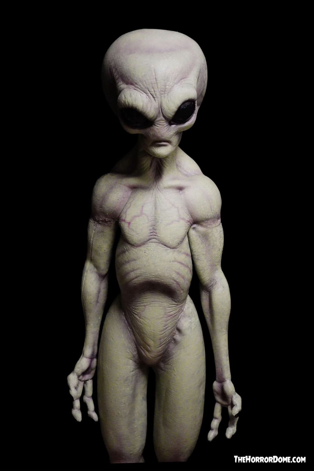 NEW for 2025 "Area 51 Alien Statue" Movie-Quality Professional Prop