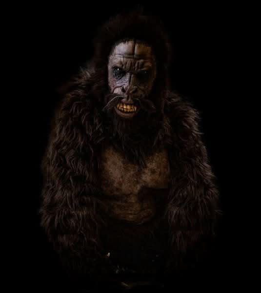 NEW FOR 2025 "Sasquatch" HD Studios Costume
