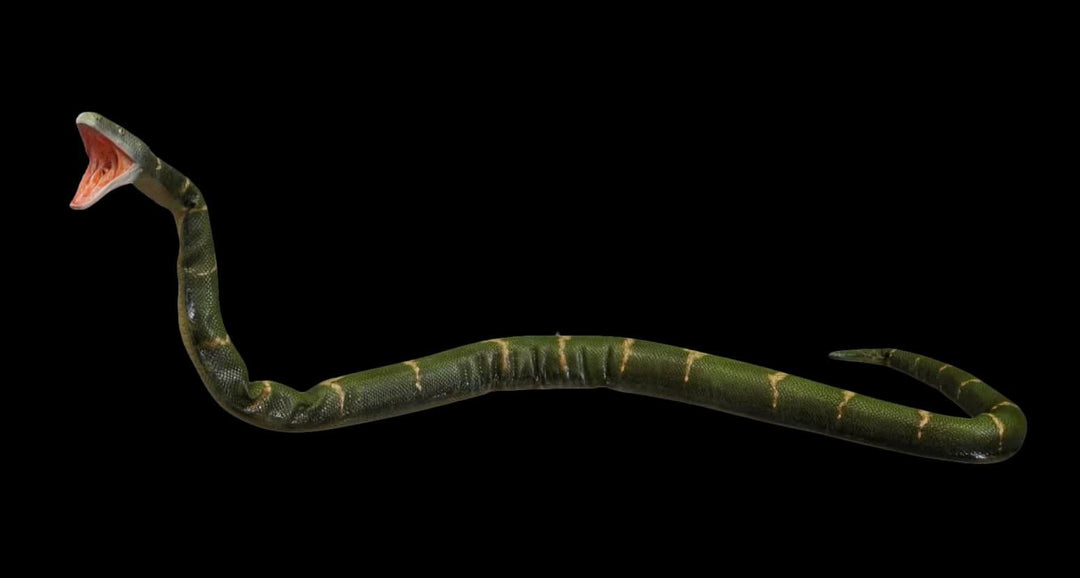 "Posable Boa Snake" Professional Halloween Prop
