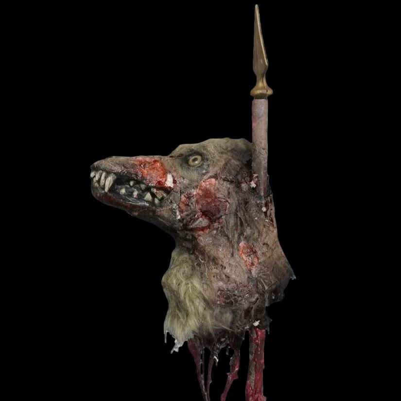 Rotting Coyote Head on Spike
