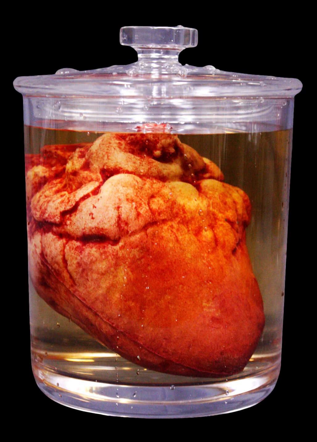 Small Lifelike Heart Specimen Jar Halloween Prop
