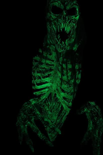 "Ultimate Spectre Reborn" HD Studios Pro Costume 