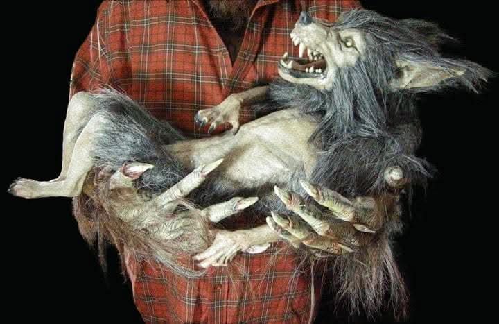 "Baby Werewolf Puppet" HD Studios Halloween Prop