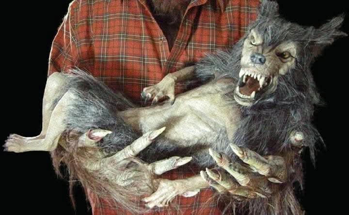 "Baby Werewolf Puppet" HD Studios Halloween Prop