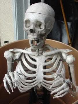 "Barrel Spitter Skeleton" Halloween Animatronic