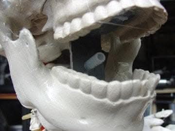 "Barrel Spitter Skeleton" Halloween Animatronic