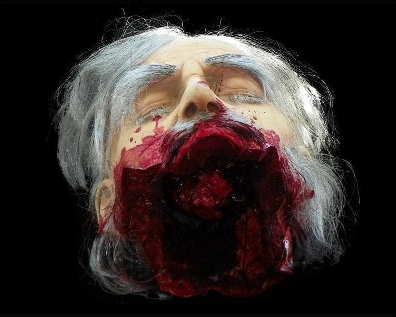 "Big Mouth Severed Head" HD Studios Bloody Halloween Prop