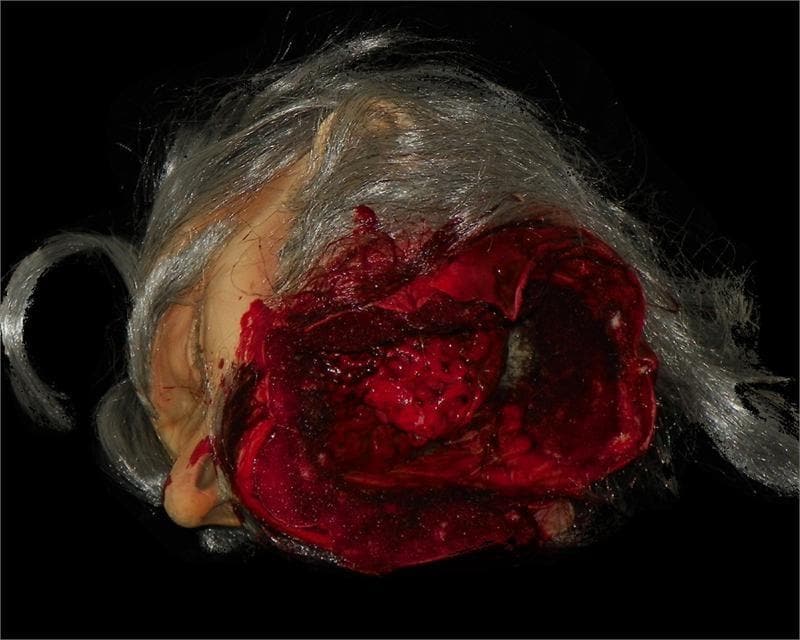 "Big Mouth Severed Head" HD Studios Bloody Halloween Prop