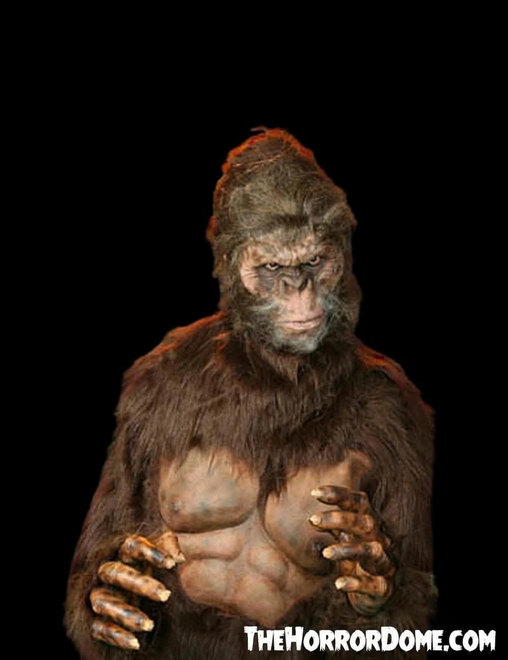 "Bigfoot" HD Studios Pro Costume
