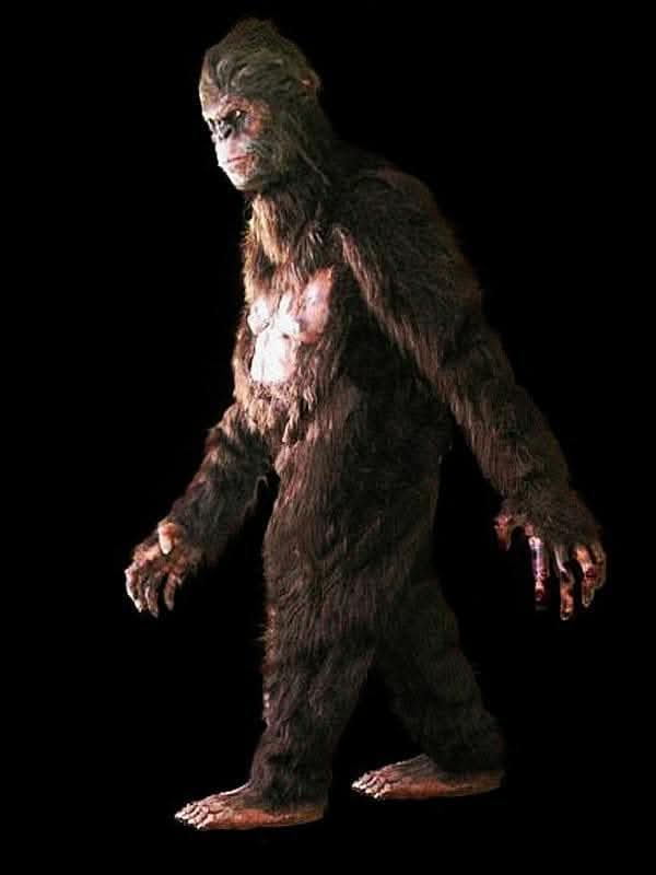 "Bigfoot" HD Studios Pro Costume