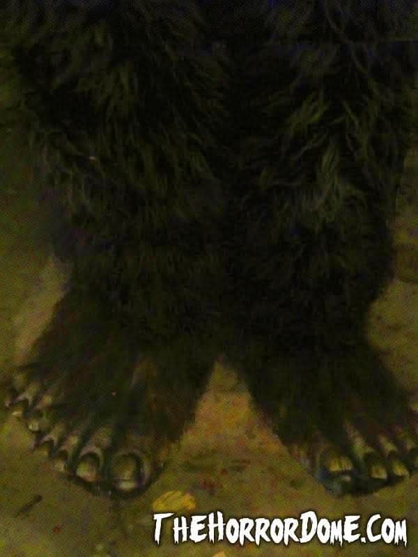 "Bigfoot" HD Studios Pro Halloween Costume