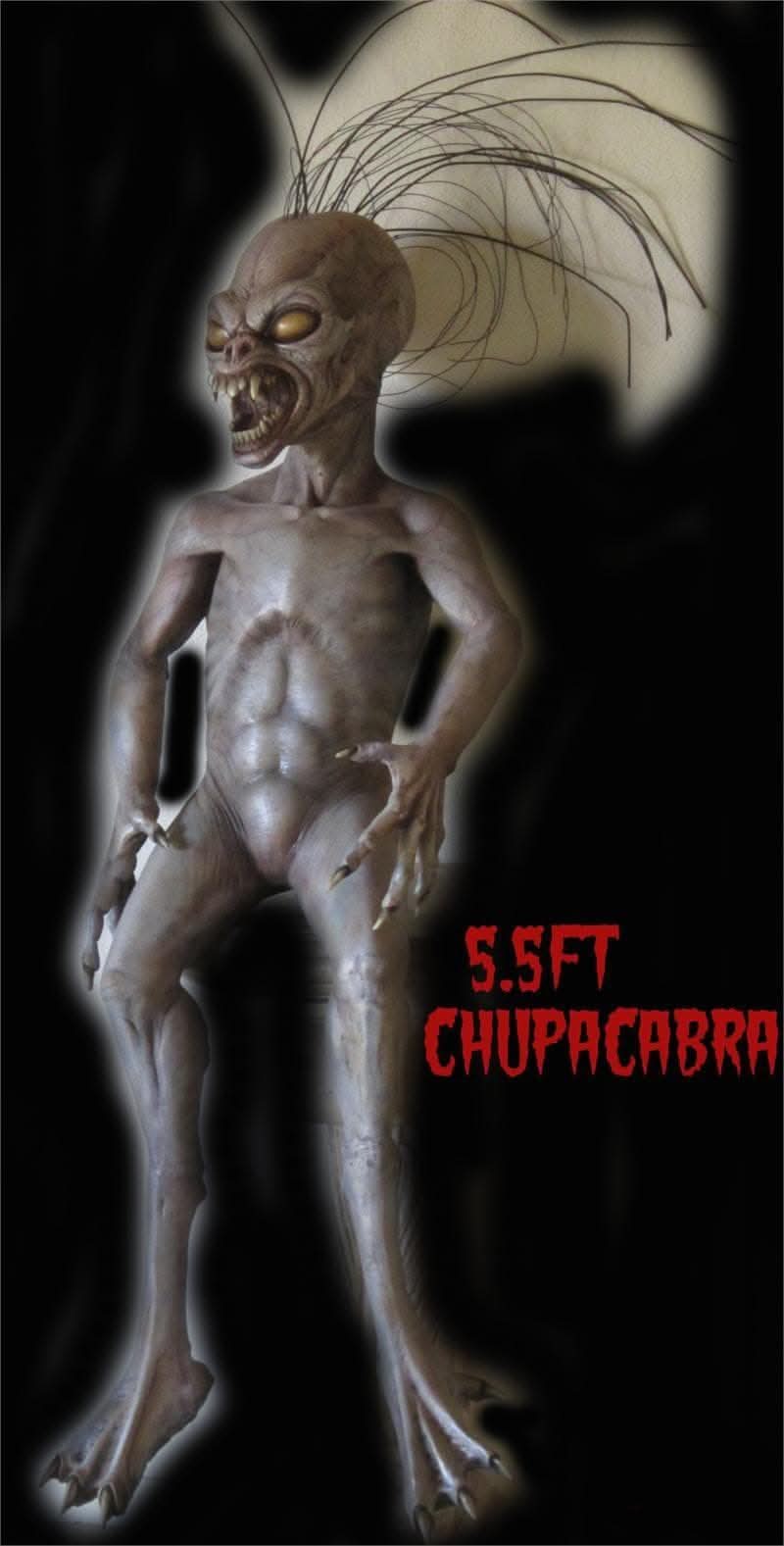 "Chupacabra" Professional Halloween Prop