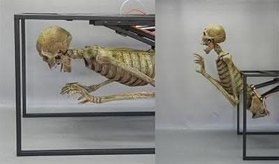"Crypt Dweller" Skeleton Halloween Animatronic