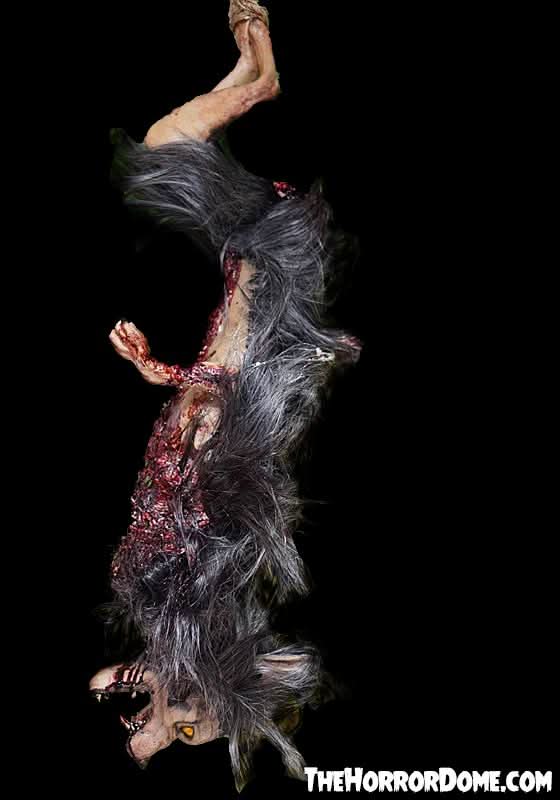 Gutted Baby Werewolf Hanging Prop