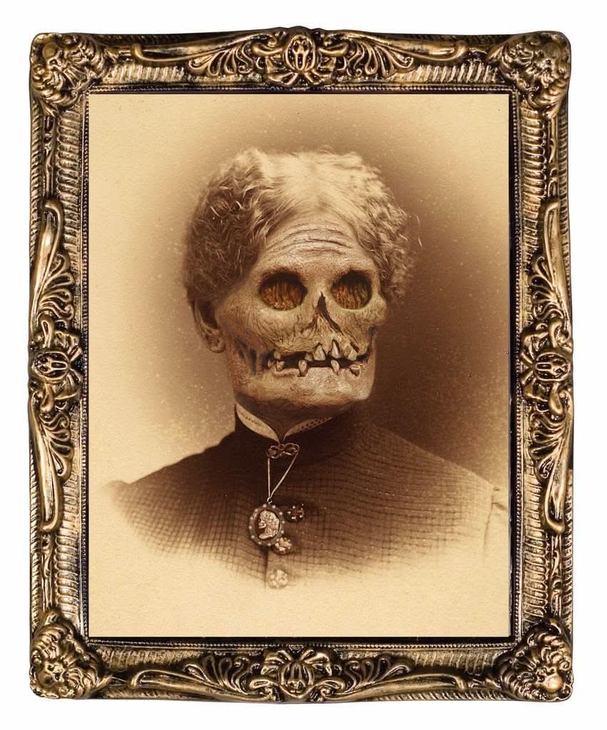 "Haunted Hallway" Haunted House Props - Package Deal