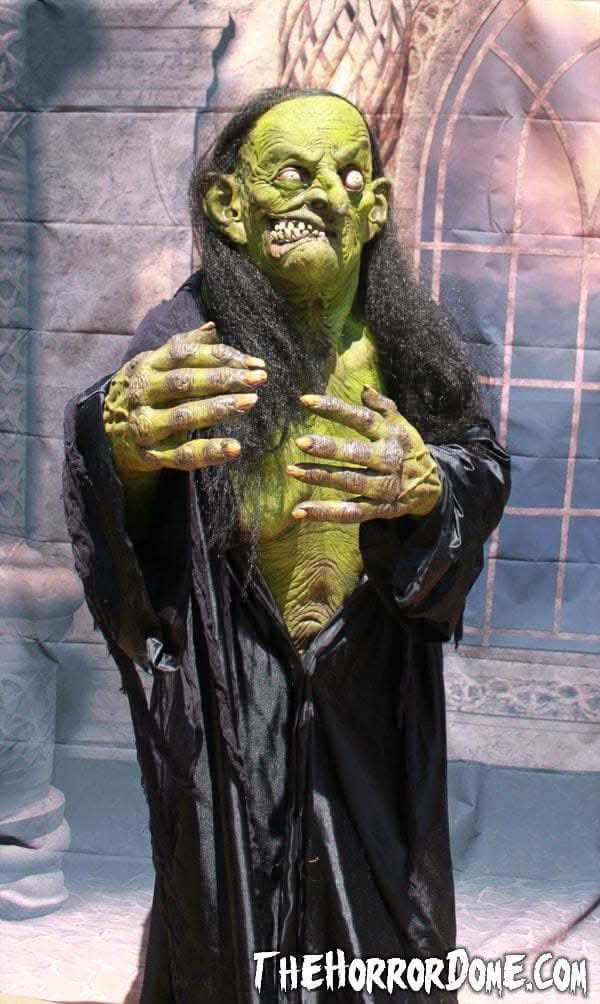 "Helga the Witch" HD Studios Pro Halloween Costume