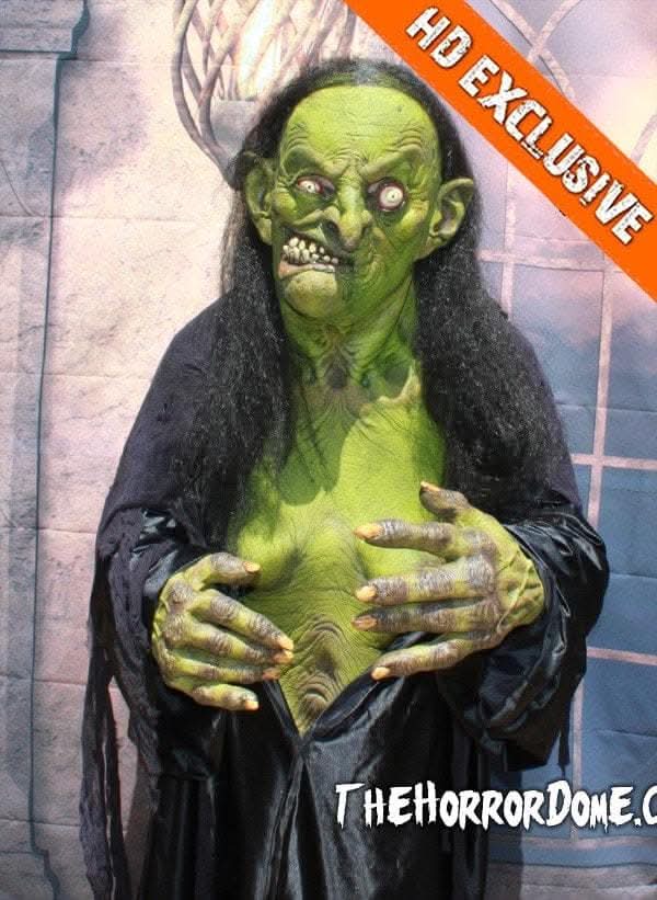 "Helga the Witch" HD Studios Pro Halloween Costume
