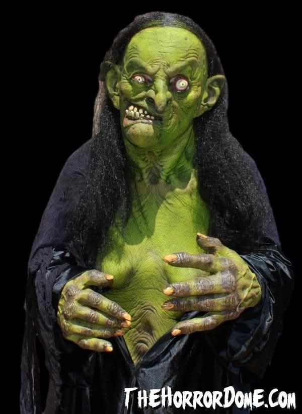 "Helga the Witch" HD Studios Pro Halloween Costume