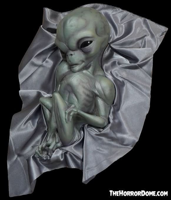 NEW for 2022 - "Roswell Alien Baby Crash Victim" HD Exclusive Halloween Decoration