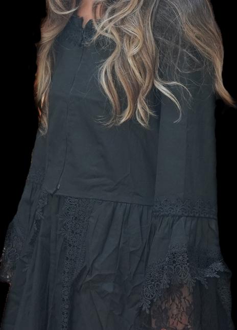 Professional Victorian Witch Dress - HD Studios Halloween Costume