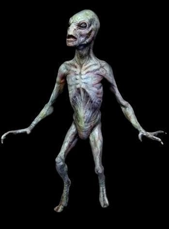 "Reptilian Alien" Professional Halloween Prop - 3 Foot