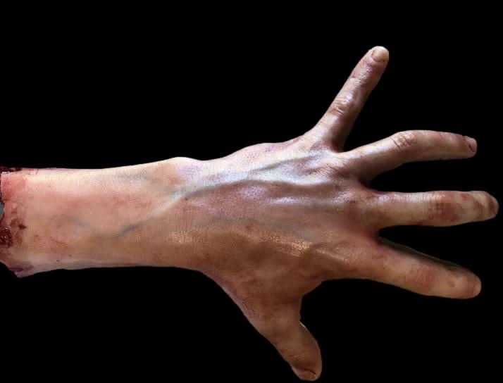 "Severed Male Arm with Silicone Human Body Part Halloween Prop