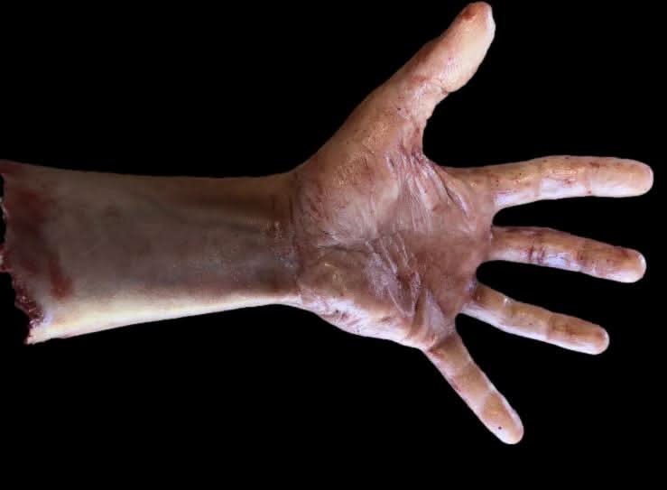 "Severed Male Arm with Silicone Human Body Part Halloween Prop