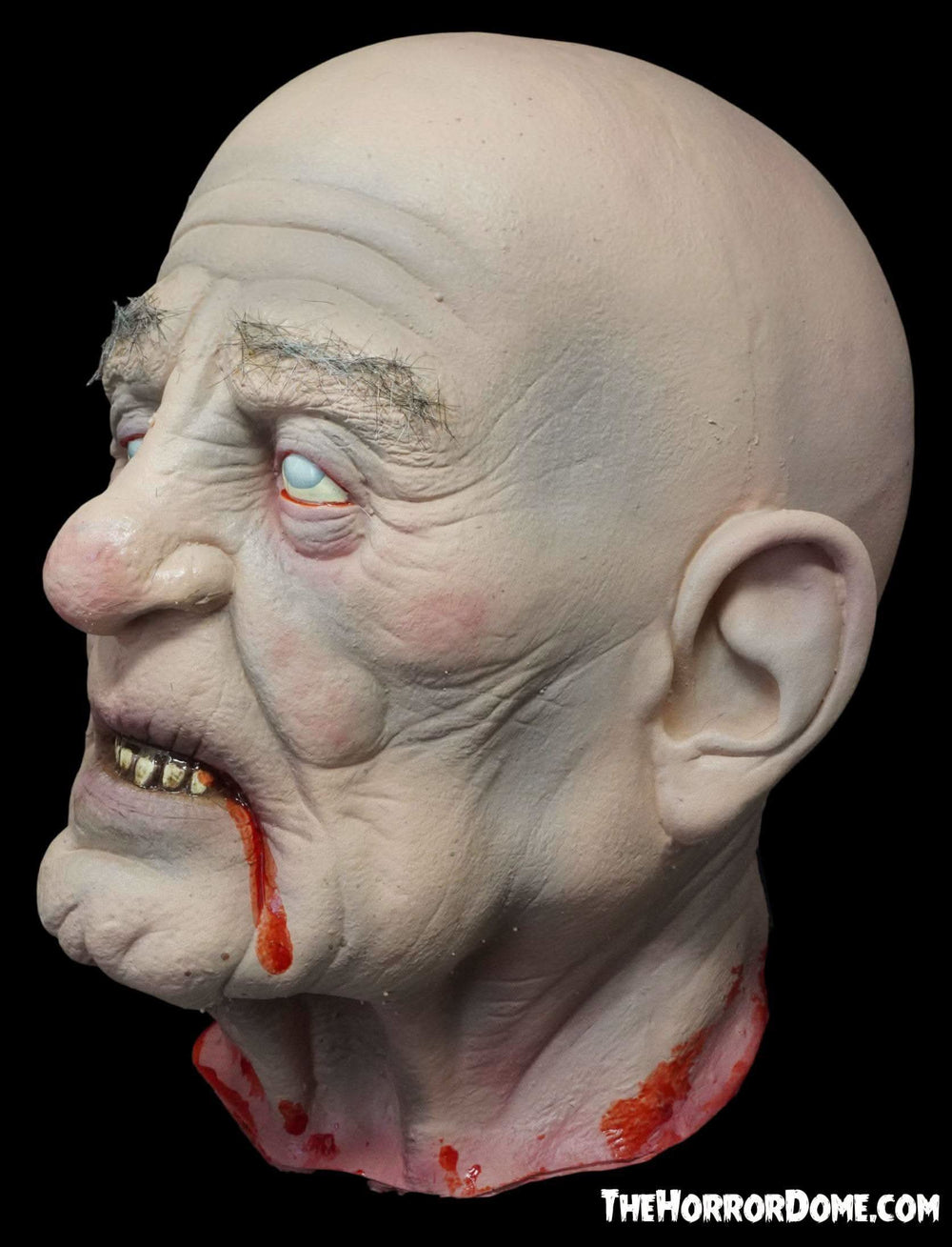 "Severed Sal" Severed Head HD Studios Ultra Realistic Halloween Prop