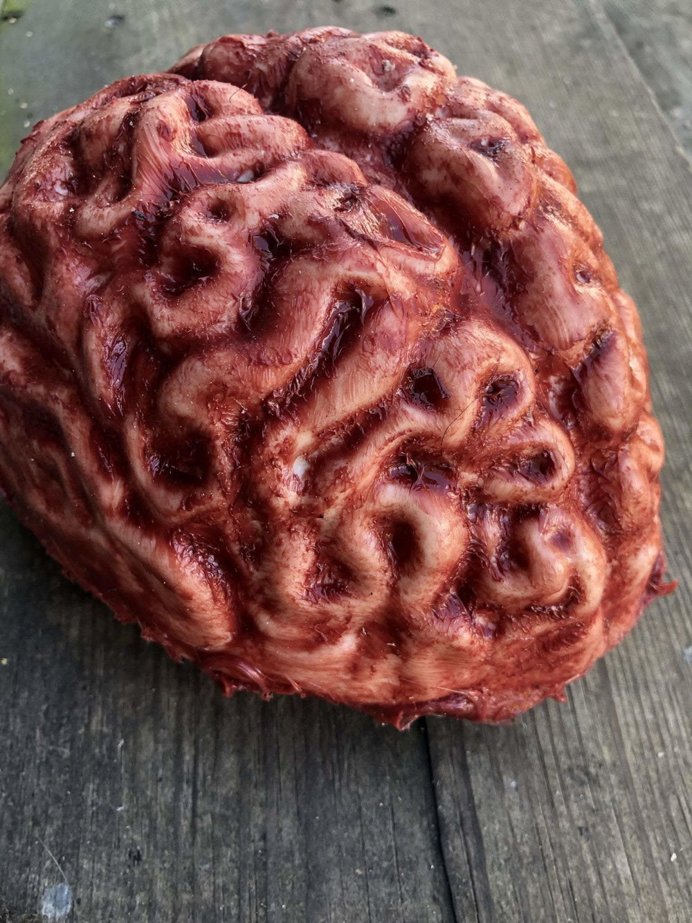 "Silicone Brain" Body Part Halloween Prop