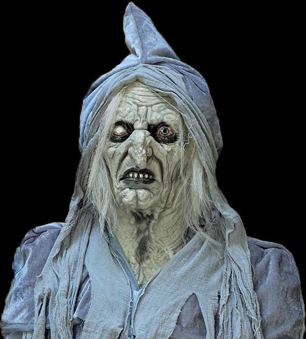 "Swamp Hag" HD Studios Costume