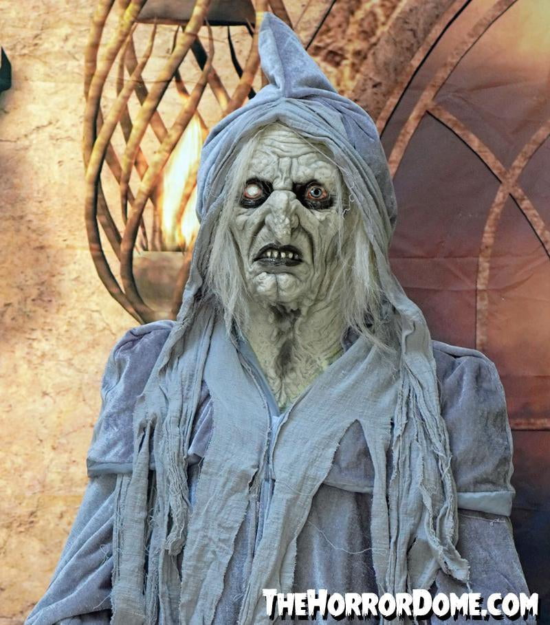 "Swamp Hag" HD Studios Costume
