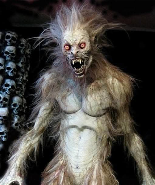 "The Werewolf" Professional Halloween Prop