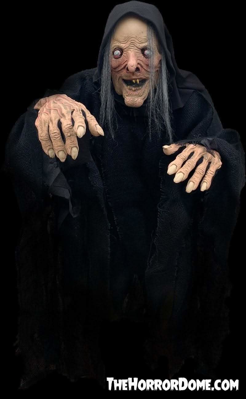 "Wicked Witch" HD Studios Comfort Fit Halloween Costume