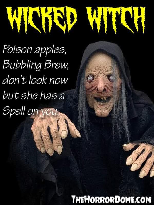 "Wicked Witch" HD Studios Comfort Fit Halloween Costume
