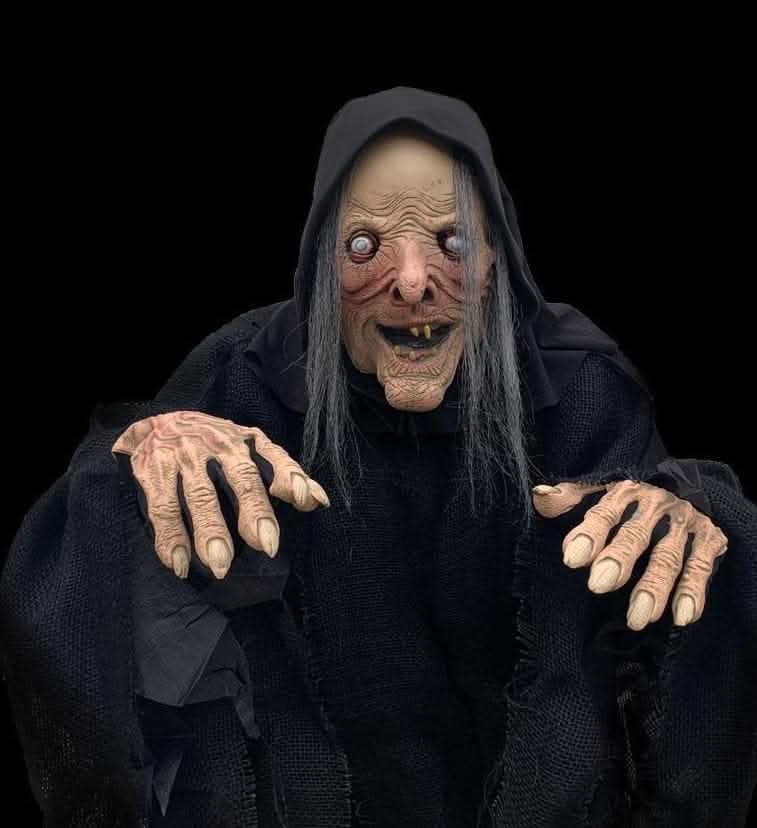 "Wicked Witch" HD Studios Comfort Fit Halloween Costume