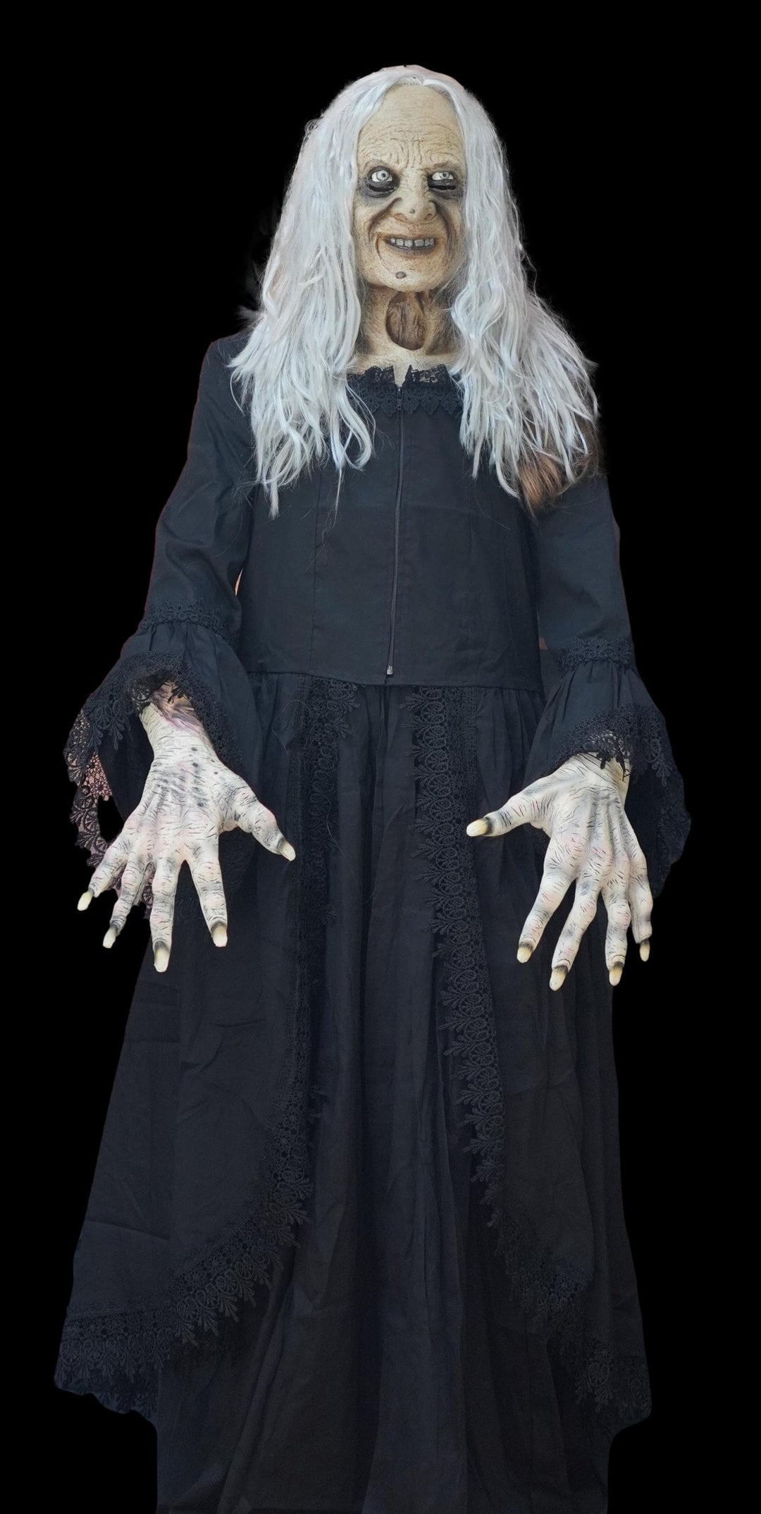 "Witchy Woman" HD Studios Halloween Costume
